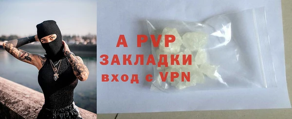 СК Абинск