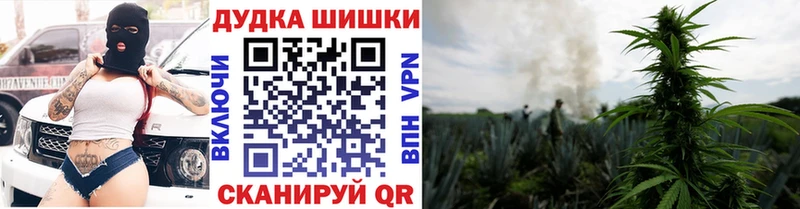 Бошки Шишки семена  цены наркотик  Ряжск 